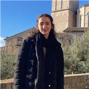 Studentessa di ingegneria offre ripetizioni in matematica e inglese per ragazzi